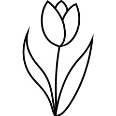 Tulip in Full Bloom with Stem line art vector