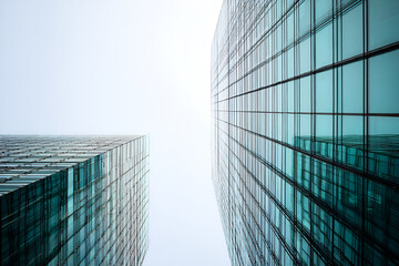 Gazing Upwards: The Architectural Dance of Glass Towers Against a Soft Sky