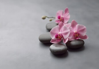 Serene spa scene Pink orchids atop smooth grey stones