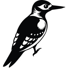 Woodpecker vector silhouette black design white background