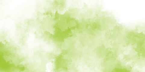 Fototapeta premium abstract Soft green watercolor background, tree on textured green and white backdrop, green watercolor grunge smoke swirling against a light background.