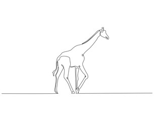 Continuous one line drawing of giraffe animal. One line drawing illustration of giraffe walking. National endangered species day concept single line. Editable outline
