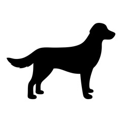 Striking Black Silhouette of a Standing Dog, Poised and Ready to Act