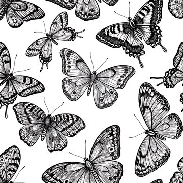 Flutter: A Monochrome Dance AI Generated