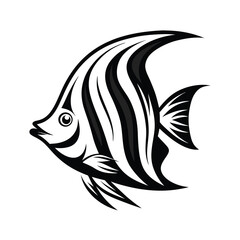 Isolated Butterflyfish Striking Black and White Aquatic Wildlife