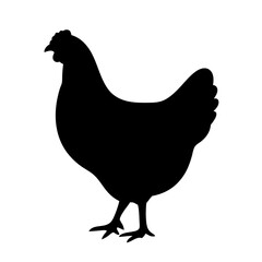 Black silhouette of a chicken hen standing isolated on a white background