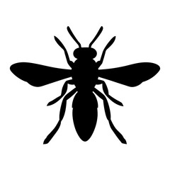 Striking Silhouette of a Wasp Displaying its Intricate Anatomy in Crisp Detail
