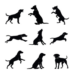 Showcasing Diverse Breeds and Dynamic Poses for Pet Enthusiasts, Veterinary Professionals, and Canine Coaches – Embodying the Spirit of Animal, Canine, Domestic Charm, Cute Appeal, Friendly Nature, Lo