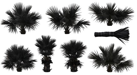 Midnight Palms: A Silhouetted Collection AI Generated