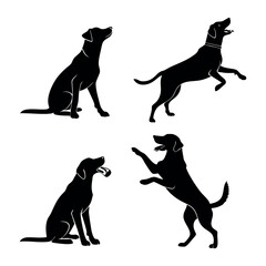 Showcasing Diverse Breeds and Dynamic Poses for Pet Enthusiasts, Veterinary Professionals, and Canine Coaches – Embodying the Spirit of Animal, Canine, Domestic Charm, Cute Appeal, Friendly Nature, Lo