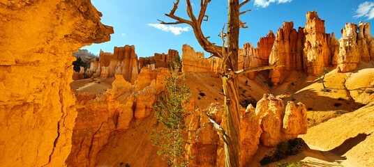 Bryce Canyon Hoodoos, Utah, USA