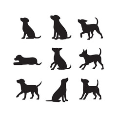 Showcasing Diverse Breeds and Dynamic Poses for Pet Enthusiasts, Veterinary Professionals, and Canine Coaches – Embodying the Spirit of Animal, Canine, Domestic Charm, Cute Appeal, Friendly Nature, Lo