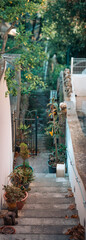 A vertical panorama of a stone staircase with potted plants and dried leaves leads to a small iron gate and a narrow garden path. A white wall and tree foliage add to the rustic, tranquil feel