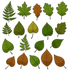 Fototapeta premium Autumn's Palette: A Leaf Collection AI Generated