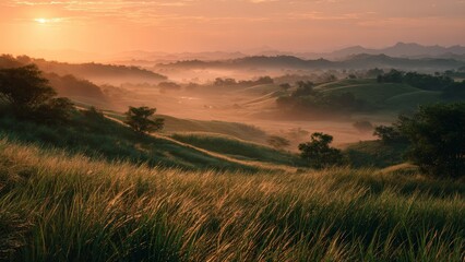 Fototapeta premium Fields Bathed in Soft Morning Sunlight