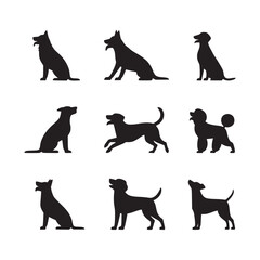 Showcasing Diverse Breeds and Dynamic Poses for Pet Enthusiasts, Veterinary Professionals, and Canine Coaches – Embodying the Spirit of Animal, Canine, Domestic Charm, Cute Appeal, Friendly Nature, Lo