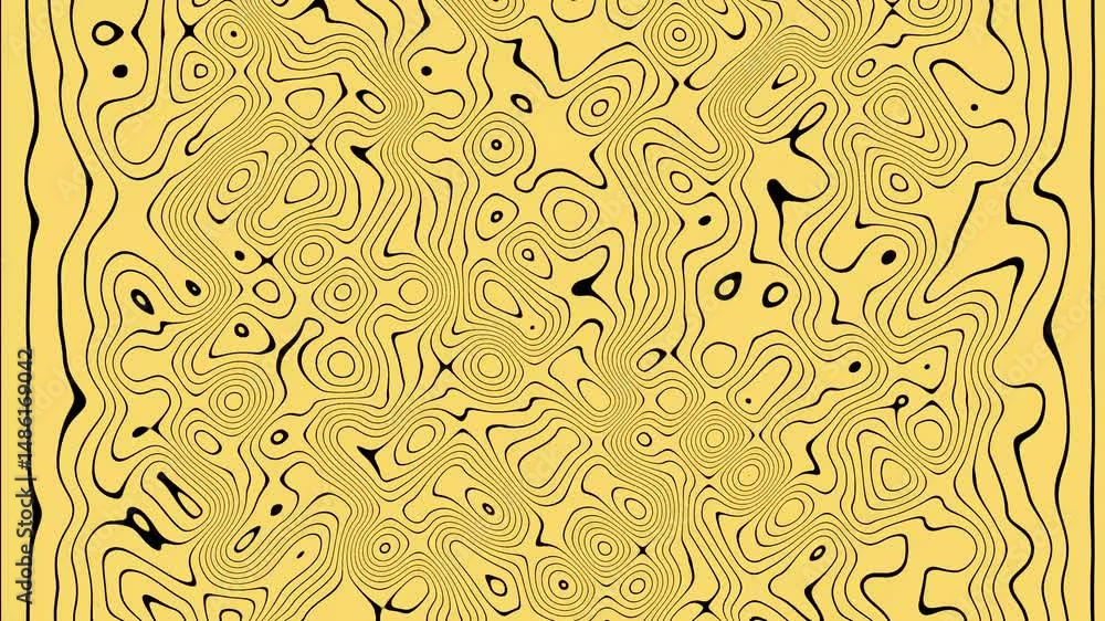 Poster topographic map with flowing contours and lines. abstract topographic map illustration displaying co