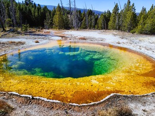 Morning Glory Pool, Yellowstone, Wyoming, USA