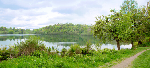 Fototapeta premium Spring morning meadow near the river with green trees on the shore.
