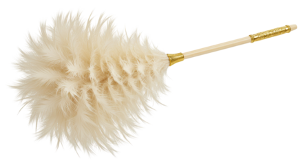 Isolated White Feather Duster with Wooden Handle