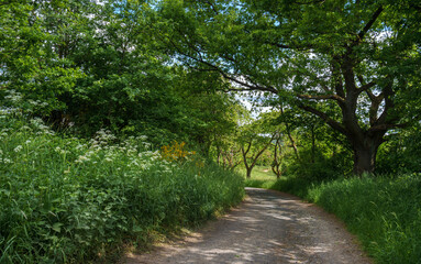 Weitwinkel Fotos Wolken über den Feldern in Marbach Rotenberg , Alte Weinstraße