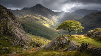 A Verdant Valley's Gentle Glimmering Light Touch