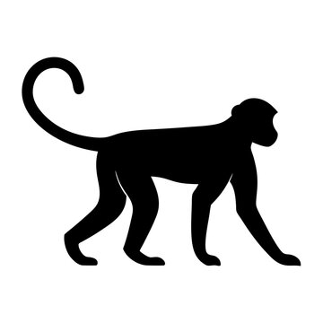 Silhouette of a monkey in a walking pose with a curved tail