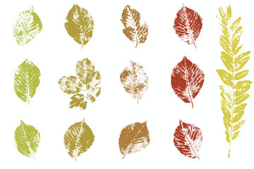 Natural leaves imprint, Grunge style, Vector, Isolated, Decorative elements for design