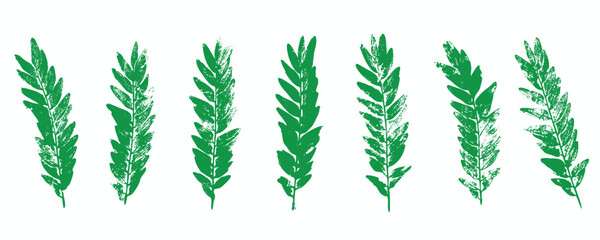 Natural leaves imprint, Grunge style, Vector, Isolated, Decorative elements for design