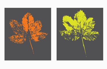 Natural leaves imprint, Grunge style, Vector, Isolated, Decorative elements for design