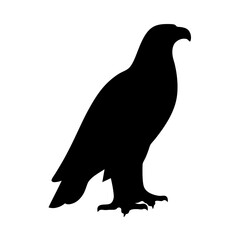 Black eagle silhouette standing tall against a stark white background image
