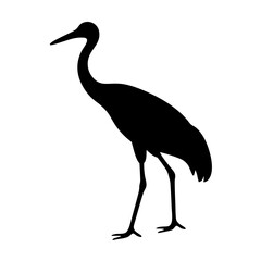 Elegant black silhouette of a long necked heron standing tall on white
