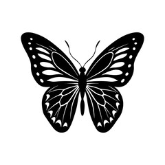 butterfly illustration butterfly icon silhouette vector