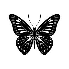 butterfly illustration butterfly icon silhouette vector