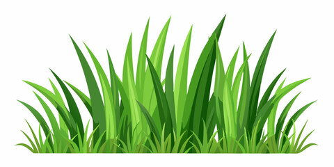 Lush Green Grass Blades Isolated on White Background