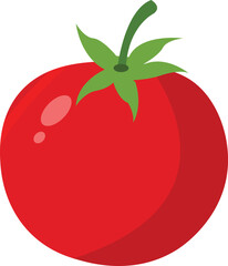 Fresh Red Tomato Illustration – Vector Graphic of Ripe Tomato with Green Stem


