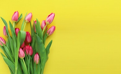 Bouquet of pink tulips on yellow background with copy space