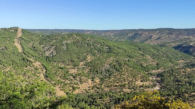 Panoramic view of Carde&ntilde;a and Montoro Natural Park in Andalusia with the immersive sounds of nature, deer in rut, and squawking birds.