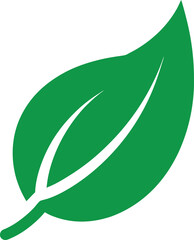 green leaf icon on a transparent background.eps