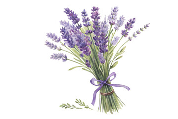 Fototapeta premium Watercolor Lavender Bouquet Isolated on Transparent Background