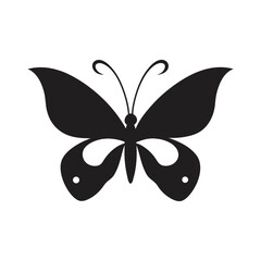 butterfly isolated on white vector silhouette