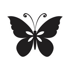 butterfly isolated on white vector silhouette