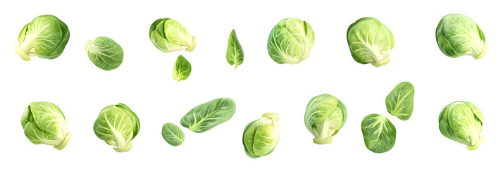 Artistic arrangement of fresh brussels sprouts and delicate leaves on black background