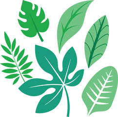Tropical leaves set on a transparent background