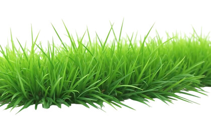 Obraz premium Lush Green Grass Border High-Resolution Image for Design Projects