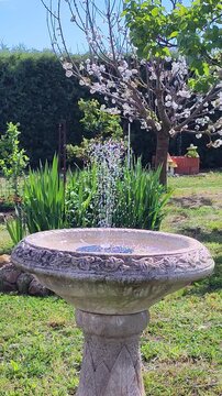 Fuente de agua en un jard&iacute;n Mediterr&aacute;neo. Jard&iacute;n florido en primavera. 