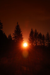 Sonnenuntergang in alpinem Wald