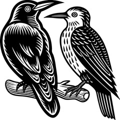 Obraz premium Realistic full-body illustration of a Mexican Violetear bird, an American hummingbird species, on a clean white background—perfect for digital and print use.