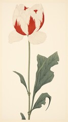 Wood block print illustration of white tulip painting flower plant.