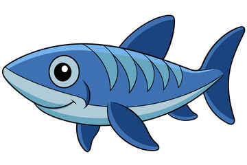 barracuda vector on white background